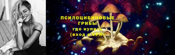 метамфетамин Туринск