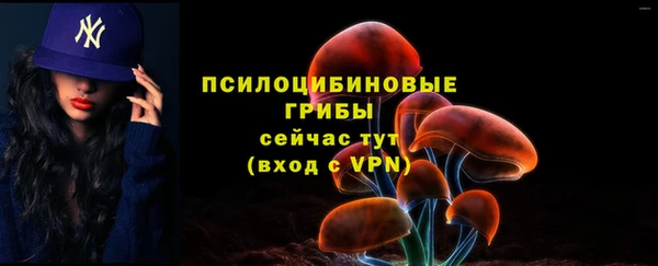 spice Тутаев