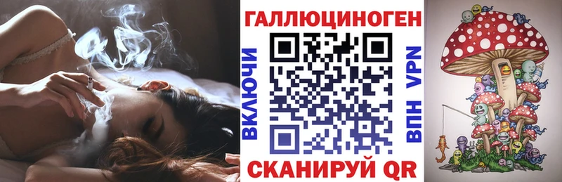 Псилоцибиновые грибы Psilocybe  Железногорск 