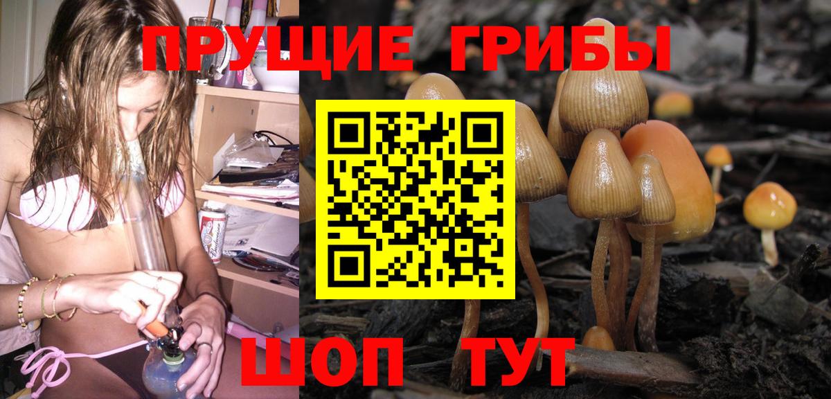 наркошоп  Вход с VPN  Галлюциногенные грибы Magic Shrooms  Железногорск  Псилоцибиновые грибы Magic Shrooms 