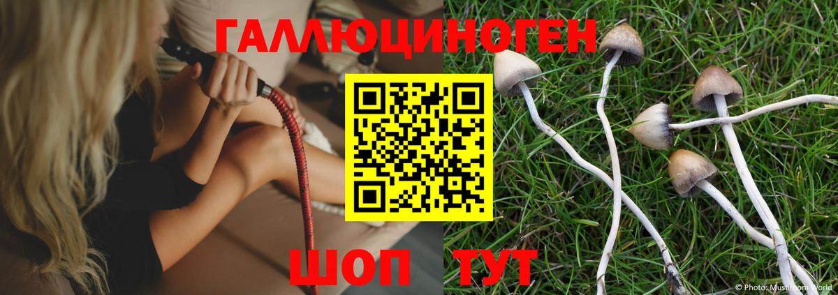 Псилоцибиновые грибы мухоморы  где купить   Железногорск 